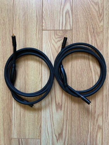 Interconnessione audio