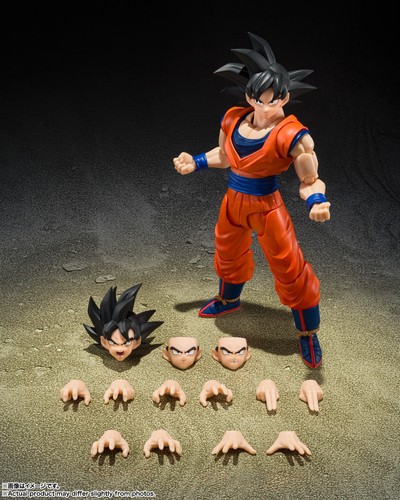 Modellino sh figuarts - sh,