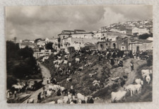 foto matera grottole festa s