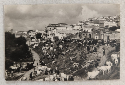 Foto matera grottole grassano - foto,