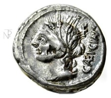 Ancient Rome Republic  (Cassia Caecianus) Denarius Cerere-Buoi