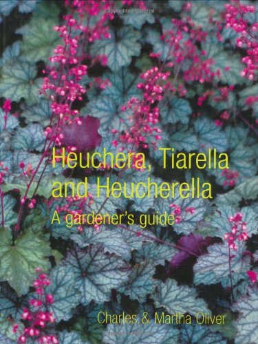 Heuchera tiarella and - heuchera,,