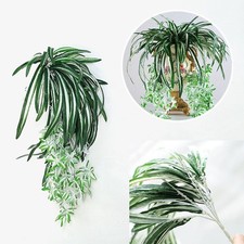 Artificial Plants Display