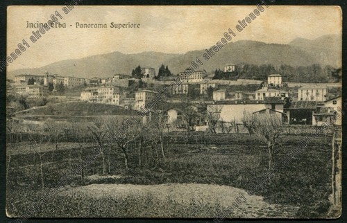 Como erba incino - erba, superiore