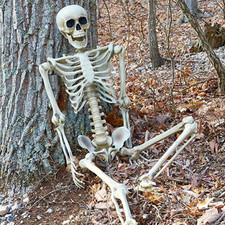 Scheletro Halloween a