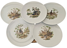 Set 5 piatti porcellana