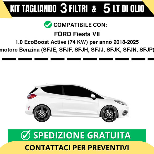 Tagliando per ford fiesta vii - per,