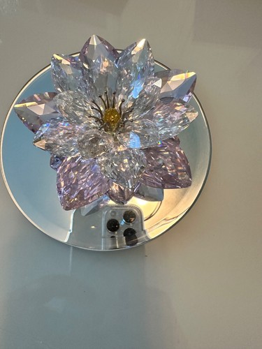 Ninfea cristallo swarovski - in,