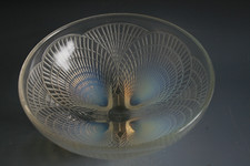 RENE LALIQUE COQUILLE CIOTOLA