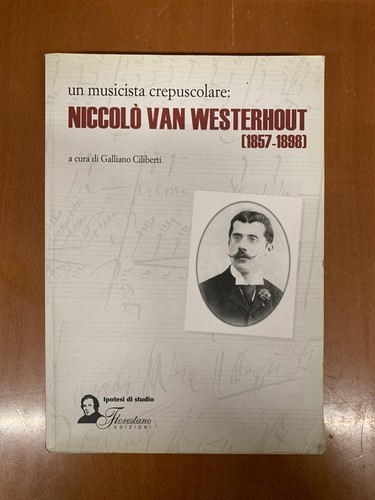 Musicista crepuscolare - musicista,