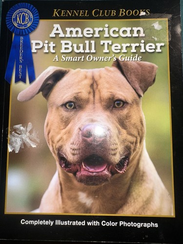 American pit bull terrier - terrier, a