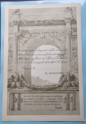 Regno diploma bianco x - diploma,