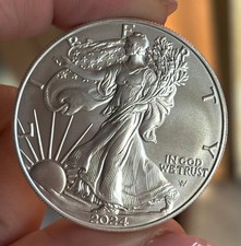 EAGLE 1 OZ ONCIA 2024  STATI