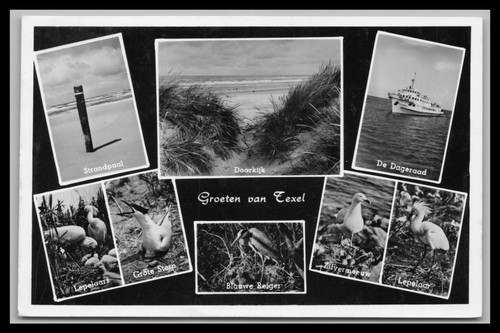 Cartolina texel olanda - cartolina,