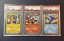 Raikou Entei Suicune HGSS19