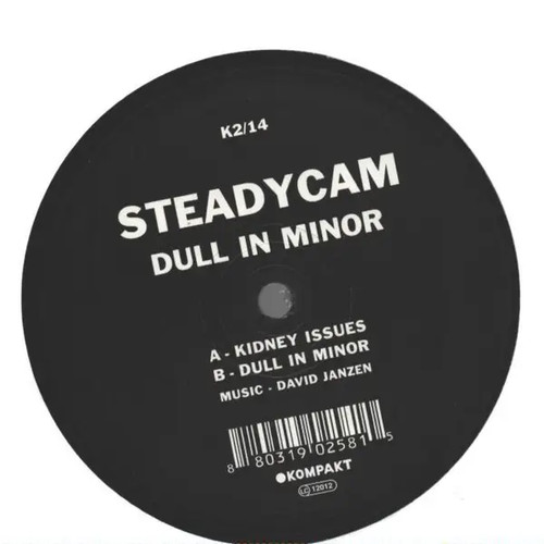 Steadycam dull monor vinyl - steadycam,