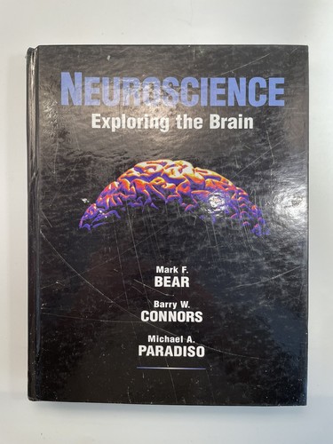Neuroscience exploring the - neuroscience,