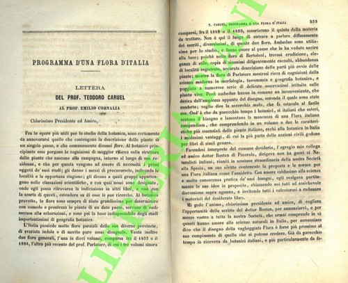 Caruel teodoro programma - caruel,