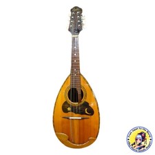 Suzuki Mandolin Strings Violin