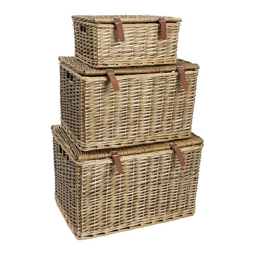 Cesti porta picnic regalo - , in