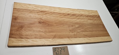 Flame birch bella - flame,