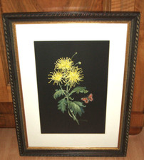 Gerti Boschan - fiore/farfalla - firmato - cornice originale e vetro da museo