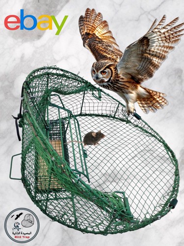 Trappola sicura per uccelli