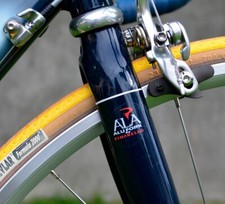 Pinarello ALA Alufork red kit