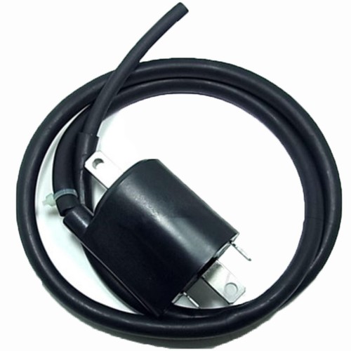 Bobina accensione tourmax 12v - bobina,