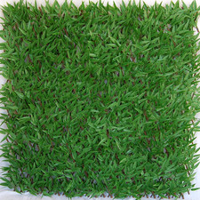 Siepe Artificiale Con Foglie
