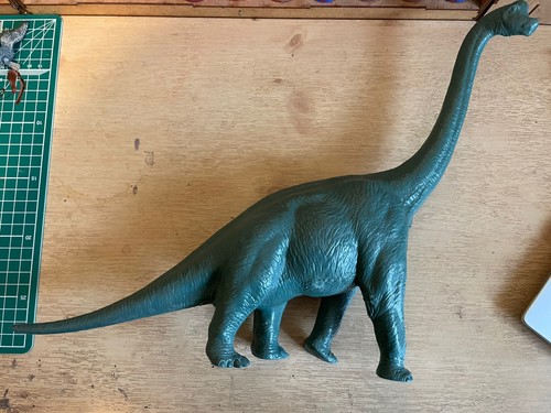 Vintage natural history - history, museum