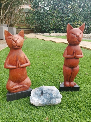 Gatto legno suar - legno,