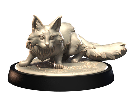 Main coon pose - -,
