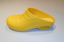 Zoccolo professionale