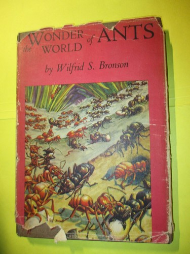The wonder world ants - the,