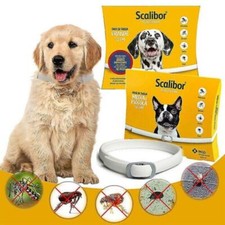 Scalibor MSD 48cm/65cm Collare Antiparassitario Cani di Taglia Piccolo Grande