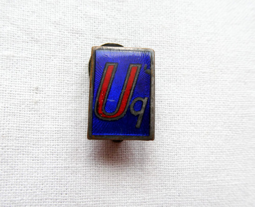 Distintivo pin partito - pin, uomo