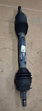 A1693607572 Semialbero ant