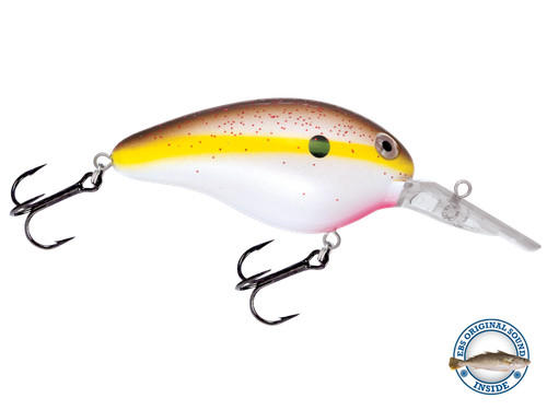 Livingston dive master - dive,