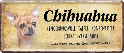 Targa latta chihuahua - , ''chihuahua''