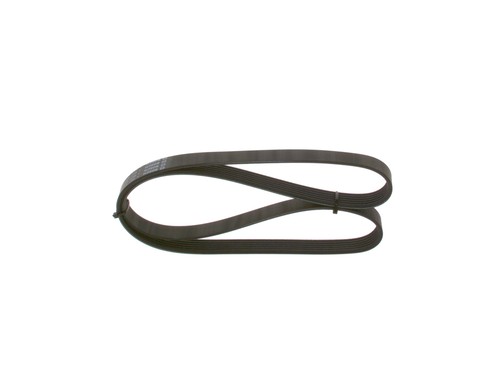 Cinghia poly per bmw - cinghia,