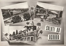 37/SALUTI DA - AGNONA (VERCELLI) - CON VEDUTINE