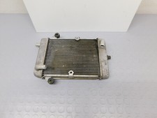 RADIATORE ACQUA  HONDA SH 300