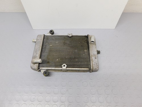 Radiatore acqua honda 300 - honda,