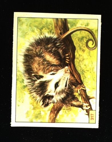 Animali preistorici - preistorici, (1974)
