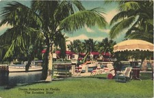 Bellissime Palme lungo