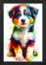 Pastore australiano cucciolo