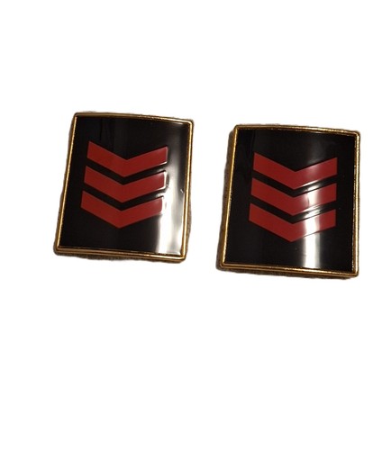Corpo guardie pubblica - guardie,