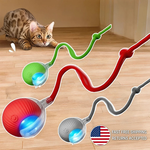 Palla per gatti - palla, ricaricabile
