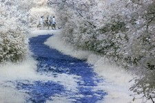 Corpo macchina Canon 1200D